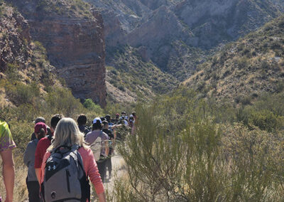 Colegio Campamentiles